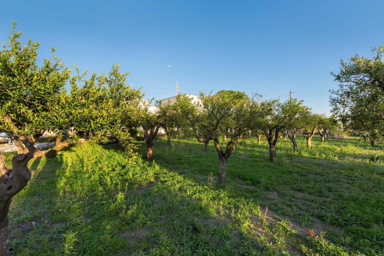 Apartmán Casina Farnarari By Barbarhouse Monteroni di Lecce Exteriér fotografie
